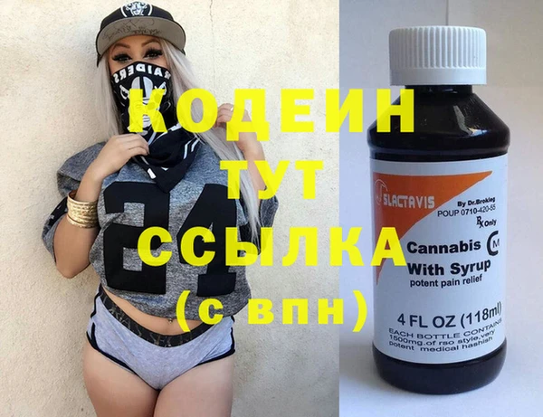 хмурый Алзамай
