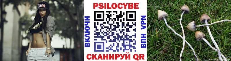 ссылка на мегу как войти  купить наркотик  Мураши  Псилоцибиновые грибы Cubensis 